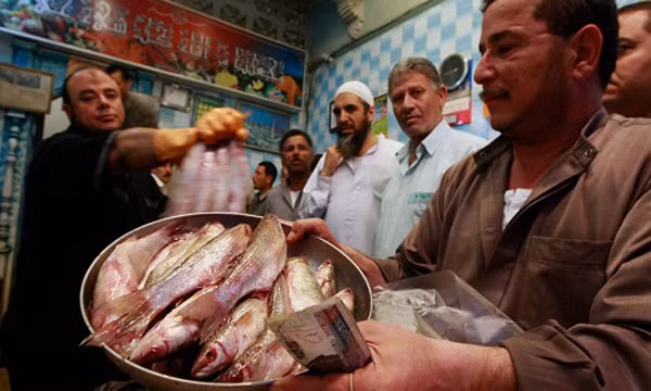 Dù có nhiều cảnh báo về sự độc hại và các báo cáo tử vong vì ăn Fesikh, người Ai Cập vẫn yêu thích và thưởng thức. Mỗi dịp lễ hội Sham el-Nessim, các công viên ở Ai Cập lại ngập tràn người dân tụ họp, ăn uống ngoài trời và không thể thiếu món này.