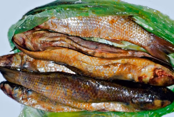 Được biết, Fesikh xuất hiện từ thời các Pharaoh cai quản Ai Cập. Thời điểm đó, vào mùa xuân, khi nước sông Nile rút đi, những con cá phủ muối và cát nằm lại chờ thối rữa trên bờ sông. Người dân phát hiện, dùng những con cá này để ăn và tìm cách chế biến.