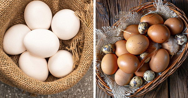  Chọn trứng theo màu sắc. Nhiều người đi chợ thường chọn trứng theo màu sắc bên ngoài. Họ cho rằng những quả trứng đậm màu sẽ giàu chất dinh dưỡng hơn song không đúng.