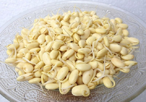 Ngoài cách chế biến trực tiếp, đậu nành còn được kích nảy mầm rồi mới chế biến món ăn. So với đậu nành khô, mầm đậu nành được đánh giá cao hơn về giá trị dinh dưỡng. Cụ thể, chúng chứa nhiều thành phần dinh dưỡng như isoflavone, riboflavin, niacin, các axit amin, protein thô và lipid. Chúng còn chứa một hàm lượng cao các nguyên tố vi lượng như kẽm, natri, kali, đồng, magie, phốt pho, sắt, mangan... dễ hấp thu.