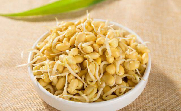 2. Mầm đậu nành. Đậu nành giàu protein, chất chống oxy hóa và chất béo tốt. Khi đi vào cơ thể, chất chống oxy hóa chống lại tác động của các gốc tự do, bảo vệ cơ thể khỏi bệnh tật.