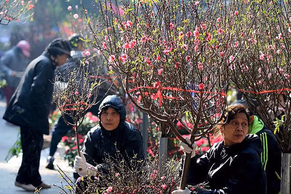 Du bao thoi tiet 30/1: Nang am khap mien Bac