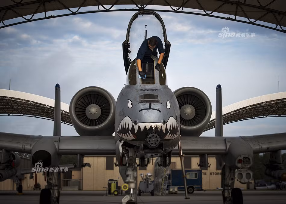 Được sản xuất từ năm 1972 tới 1984, đã có tổng cộng 716 chiếc A-10 được ra đời. Một điểm đặc biệt đó là chỉ có Không quân Mỹ sở hữu chiếc chiến đấu cơ A-10 này, phiên bản A-10 hai chỗ ngồi từng được sản xuất để xuất khẩu đã bị... "ế" và phải chuyển chỗ vào... viện bảo tàng. Đó cũng là chiếc A-10 2 chỗ duy nhất từng được sản xuất. Nguồn ảnh: Sina.