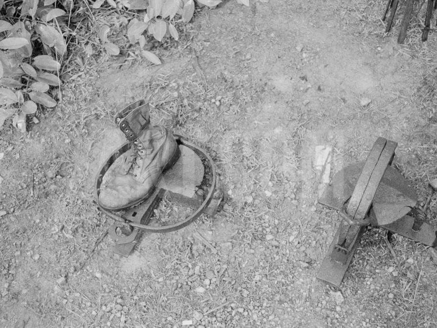 Những loại bẫy thú cỡ lớn có khả năng làm vỡ nát xương ống đồng (ống khuyển) của một binh lính Mỹ viễn chinh xấu số nào đó. Được thiết kế để đánh theo kiểu tiêu hao sinh lực địch, bản thân những loại bẫy này vốn dĩ được thiết kế không phải để giết chết ngay nạn nhân của nó. Nguồn ảnh: Pinsda.