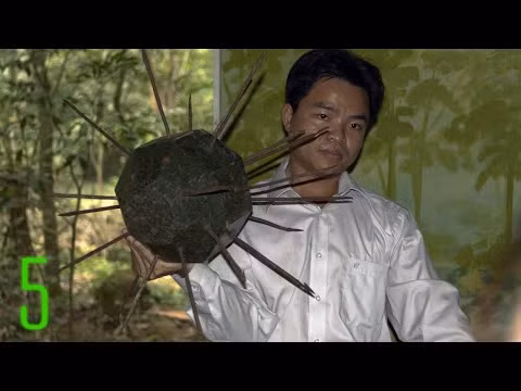 Những loại bẫy này không chỉ khiến lính Mỹ thiệt mạng mà chúng còn gây ra những cái chết cực kỳ đau đớn, khiến binh lính Mỹ bị ảnh hưởng tâm lý rất lớn khi phải nhìn đồng đội của mình chịu đựng một cái chết đau đớn như vậy. Nguồn ảnh: Conser.