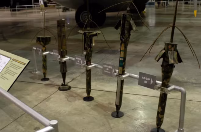 Quân đội ta cũng chủ động phát hiện các khu vực có cây nhiệt đới của đối phương để tìm cách né tránh hoặc tương kế tựu kế, khiến đối phương mắc lừa. Nguồn ảnh: Paleo.