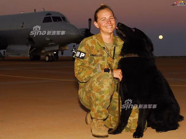 Chính vì vậy, không những có trình độ cao, họ còn phải là những người có sức khỏe thể lực đáng kinh ngạc, nhất là trong vóc dáng nhỏ bé của họ. Nguồn ảnh: Sina.