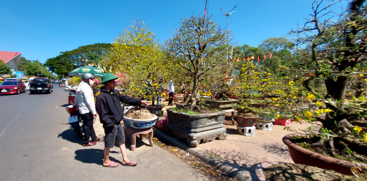 TP Buon Ma Thuot ron rang don Tet Giap Thin-Hinh-13