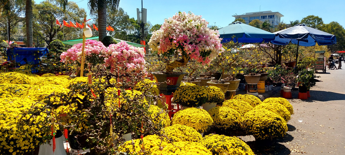 TP Buon Ma Thuot ron rang don Tet Giap Thin-Hinh-8