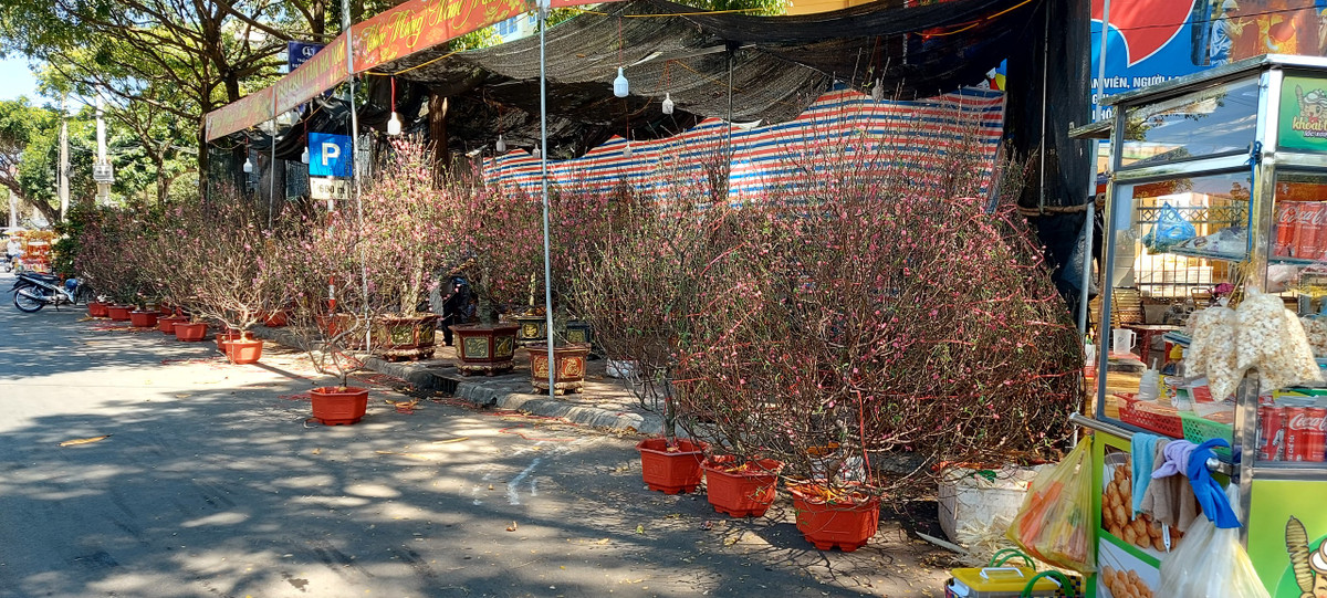 TP Buon Ma Thuot ron rang don Tet Giap Thin-Hinh-9