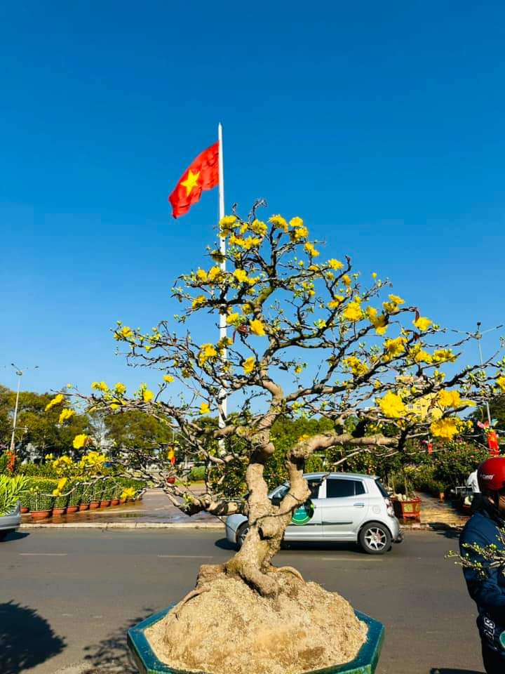 TP Buon Ma Thuot ron rang don Tet Giap Thin-Hinh-6