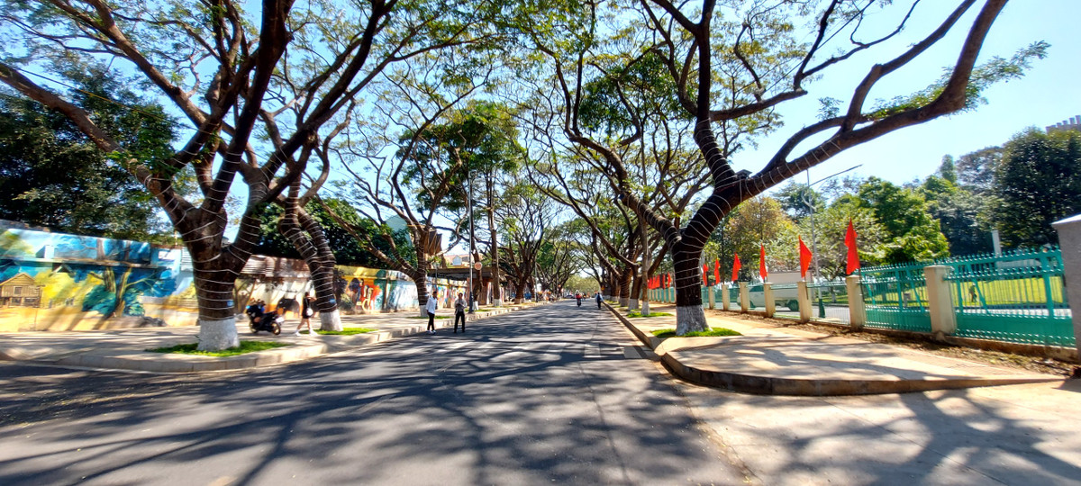 TP Buon Ma Thuot ron rang don Tet Giap Thin-Hinh-4