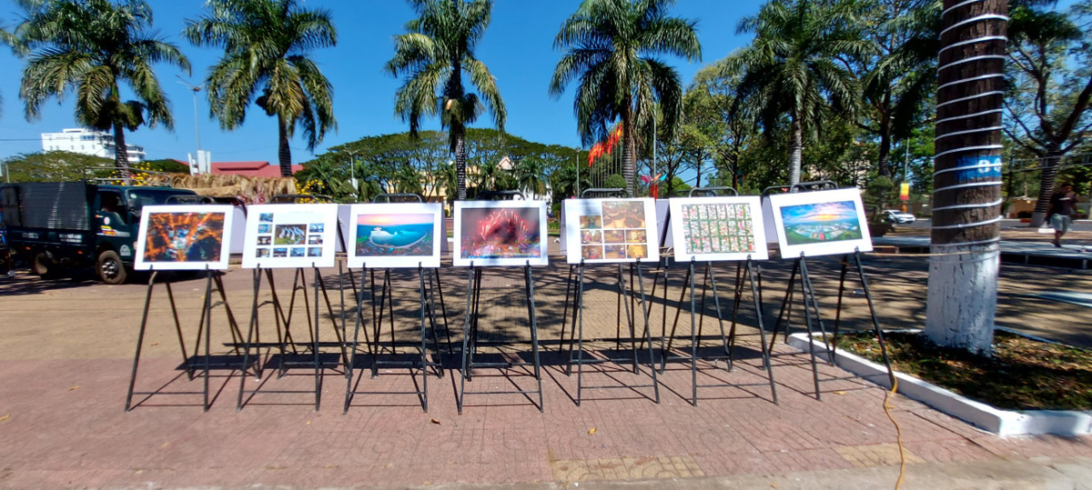 TP Buon Ma Thuot ron rang don Tet Giap Thin-Hinh-7