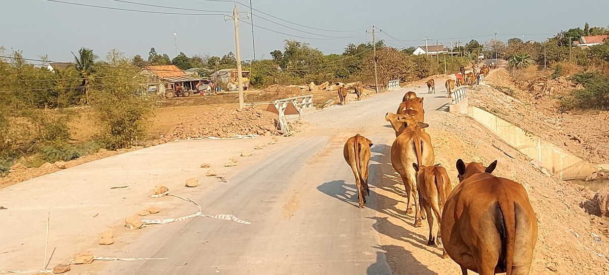 Đến ngày 12/12/2022, Ban Quản lý dự án đầu tư xây dựng công trình giao thông và nông nghiệp phát triển nông thôn tỉnh Đắk Lắk ra quyết định 763/QĐ- BQLDAGTNN, phê duyệt kết quả lựa chọn nhà thầu, gói thầu thi công xây dựng thuộc dự án: Đường giao thông nối từ ngã ba Quảng Đại, xã Ea Rốk đi Quốc lộ 14C, huyện Ea Súp.