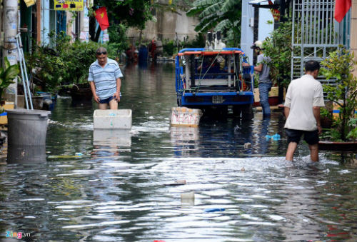 Hem o Sai Gon 20 gio chim trong nuoc ban sau bao-Hinh-2