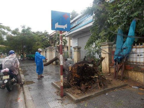 Quang Nam: Nhieu doan bo ke cua bien da bi song danh sap