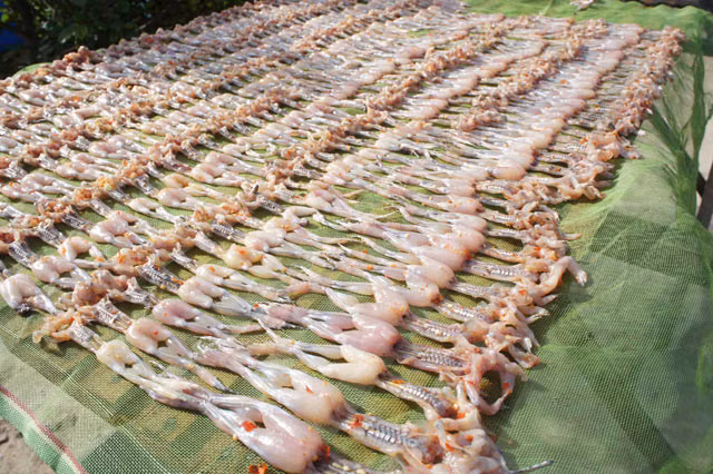 Can canh “vu nu chan dai” mien Tay len ban nhau