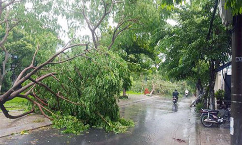 Vung ap thap suy yeu dich chuyen, mua lon dien bien phuc tap