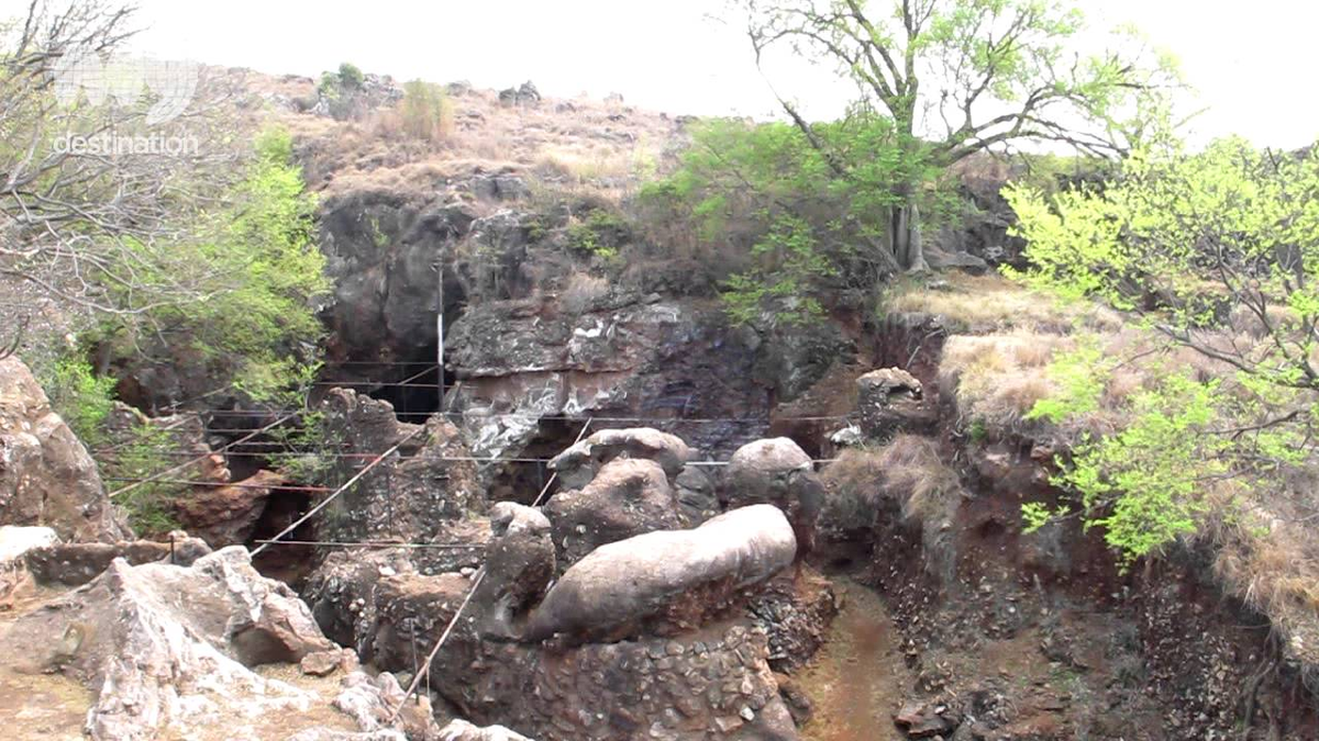 Bộ xương này được tìm thấy trong hang Swartkrans ở Nam Phi, nơi được gọi là “Cái nôi của loài người” vì tập trung nhiều hài cốt họ hàng của con người hiện đại.