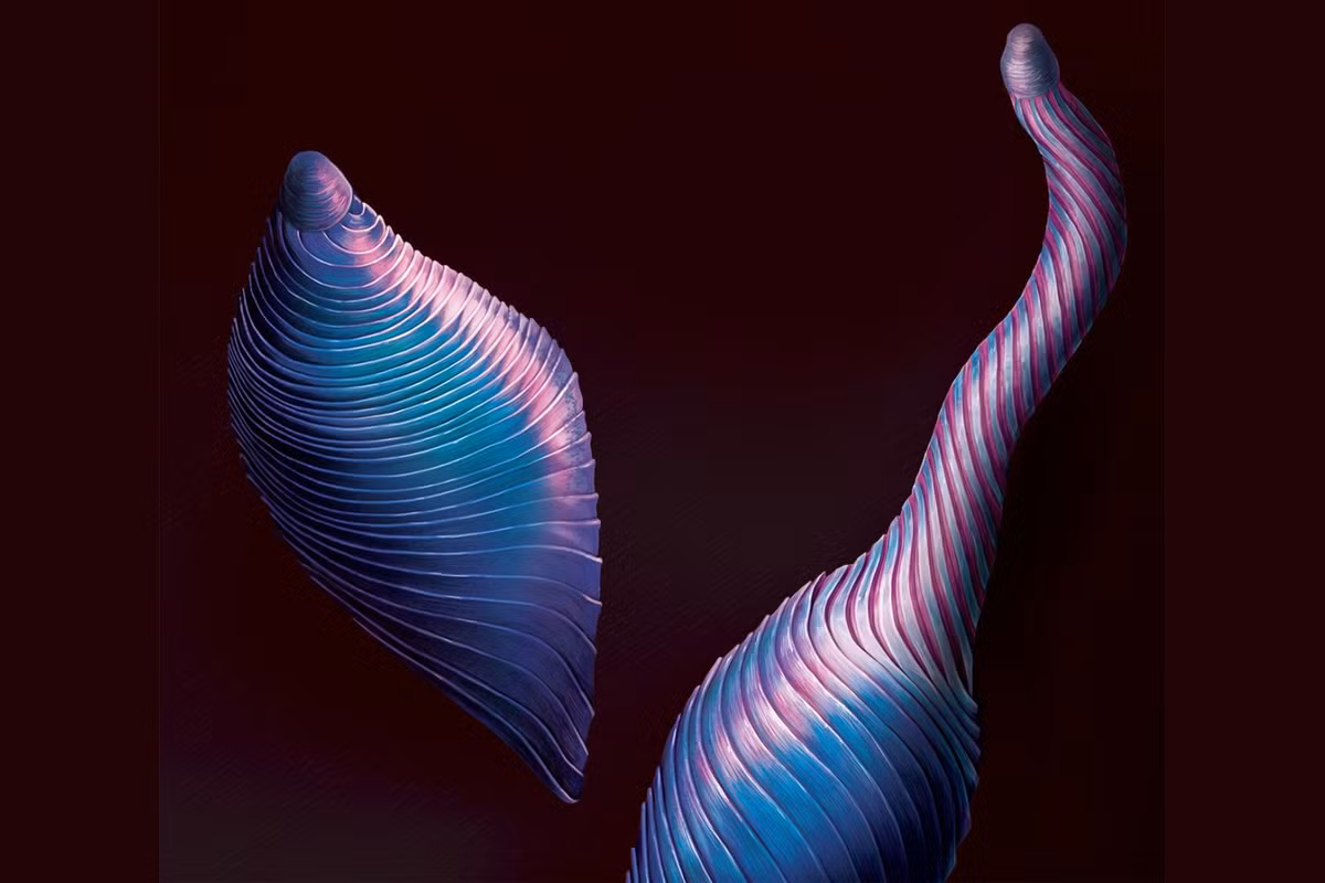 Kỹ thuật gấp này không đòi hỏi nhiều năng lượng và cho phép cổ sinh vật cực kỳ linh hoạt mà vẫn đảm bảo độ cứng và ổn định. 