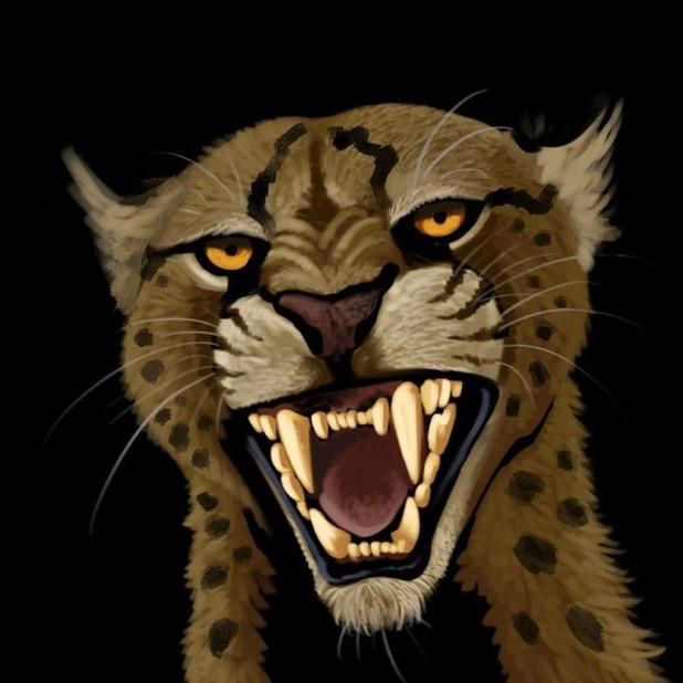 Tiếp theo, hai mẫu vật xương hàm khác được khai quật từ hang Jinyuan ở tỉnh Liêu Ninh vào năm 2021, và một hộp sọ được phát hiện từ những năm 1930 tại hang Chu Khẩu Điếm, ngoại ô Bắc Kinh.