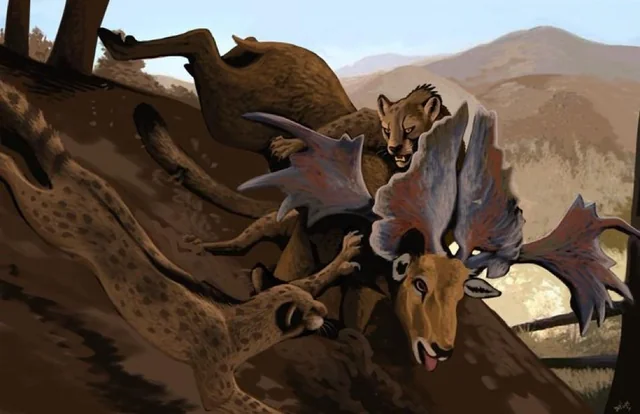 Phát hiện này bắt đầu từ năm 1925 với việc tìm thấy một phần xương hàm dưới tại tỉnh Sơn Tây, Trung Quốc.