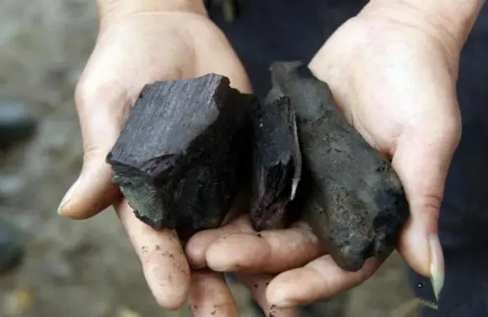 Khúc gỗ đen, cứng như đá và tỏa ra mùi thơm đặc biệt khiến ông tò mò. Sau khi mang một mảnh nhỏ về nhà, cháu trai của ông nhận ra đó là gỗ trầm hương quý giá. Gia đình và dân làng đã cùng nhau tìm kiếm và phát hiện cây gỗ lớn hơn 1.000 năm tuổi nằm sâu dưới lòng ao.