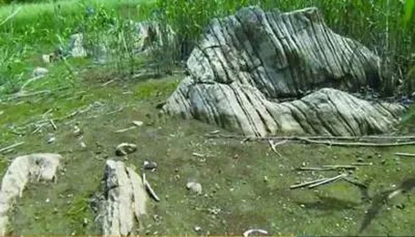 Tuy nhiên, một buổi sáng nọ, người dân phát hiện hồ nước đã biến mất hoàn toàn, chỉ còn lại bãi đất khô cạn, gây ra sự lo lắng và thắc mắc trong cộng đồng.