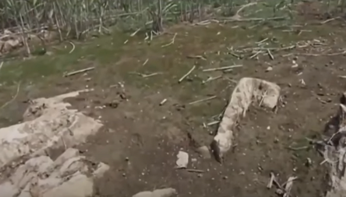 Hồ Nam Lăng được xác định là một hồ nước dạng địa hình karst, nơi nước ngầm thoát qua các hệ thống hang động ngầm dưới đất.