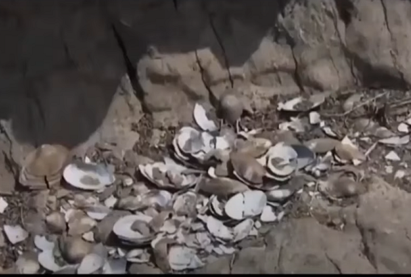 Những "âm thanh lạ" mà người dân nghe thấy là tiếng của dòng chảy ngầm bị nghẽn.