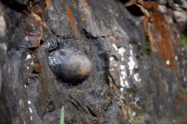 Mặc dù các nhà khoa học đã đưa ra nhiều giả thuyết, họ vẫn chưa thể giải thích hoàn toàn hiện tượng này.