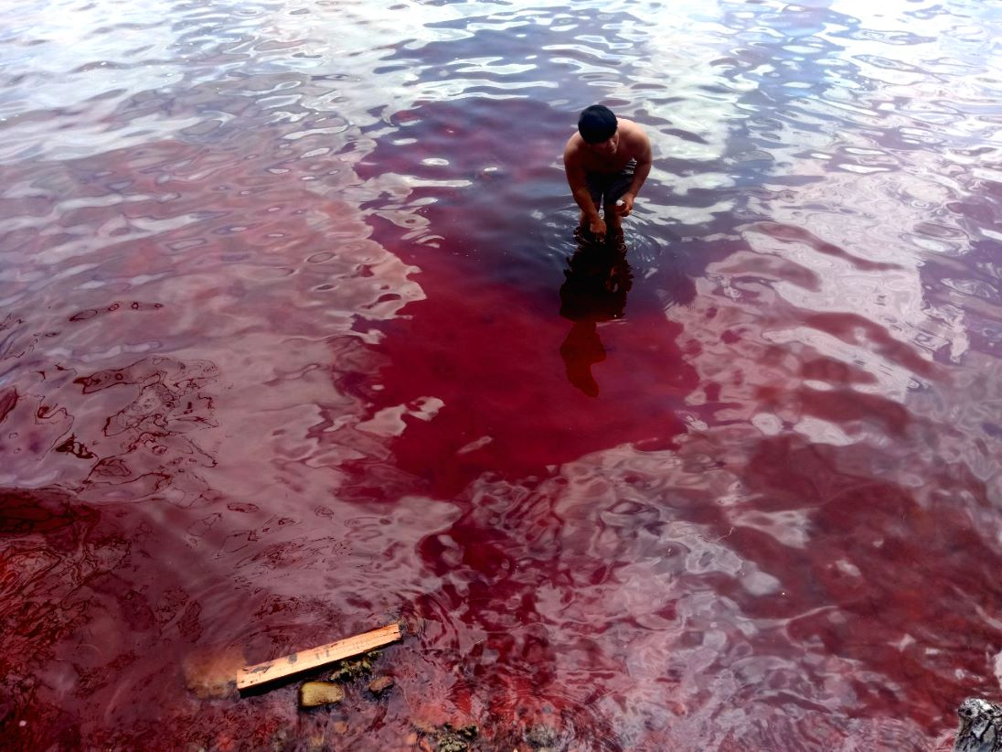 Điều này xảy ra tại khu vực bãi Mun, phía Tây Nam đảo Thổ Châu, với diện tích nước biển có màu đỏ lan rộng đến gần 1.000m². (Ảnh: Người dân cung cấp)