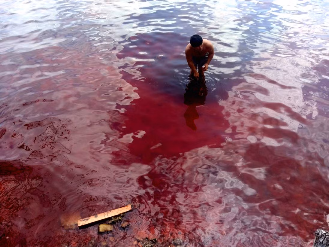 Điều này xảy ra tại khu vực bãi Mun, phía Tây Nam đảo Thổ Châu, với diện tích nước biển có màu đỏ lan rộng đến gần 1.000m². (Ảnh: Người dân cung cấp)