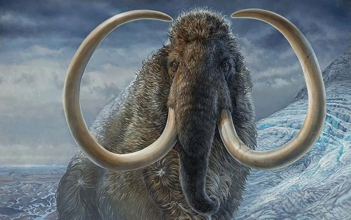 Thay vào đó, sự tuyệt chủng có thể do các yếu tố ngoại cảnh đột ngột như bệnh truyền nhiễm, hỏa hoạn, lớp tro núi lửa hoặc thời tiết khắc nghiệt.