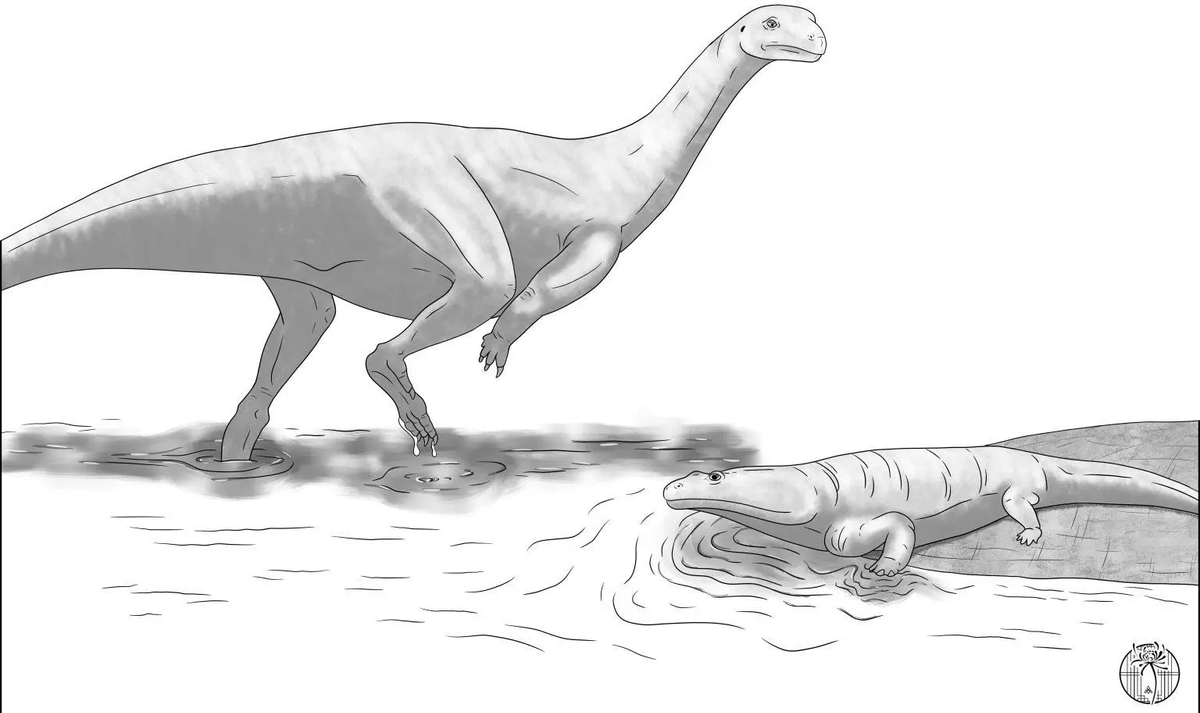 Với trọng lượng khoảng 390 kg khi còn sống, loài khủng long này là một trong những sinh vật to lớn nhất thời kỳ đó, một thời kỳ mà phần lớn khủng long còn khá nhỏ.