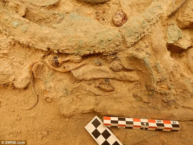 Tiến sĩ Stocker nhấn mạnh, phát hiện này không có bất kỳ bình gốm nào, mà chỉ có các vật dụng bằng đồng, bạc và vàng. 