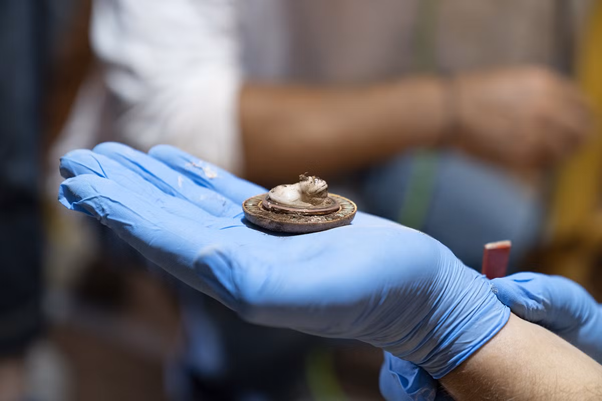 Vòng tay, nhẫn, dây chuyền bằng vàng được tìm thấy trong lăng mộ khiến các nhà khoa học vô cùng sửng sốt. Ngoài ra, các nhà chuyên gia phát hiện nhiều bình thủy tinh và kim loại, vải vụn từ quần áo của Neko.