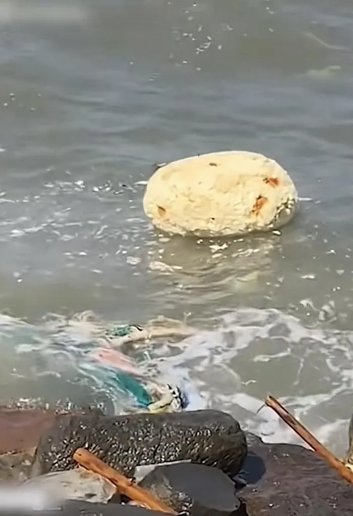 Trong chuyến đi thư giãn sau những ngày làm việc căng thẳng, thanh niên này đã vô tình nhìn thấy một vật thể trắng đục hơi ngả vàng nổi trên mặt biển. Nghĩ ngay đến long diên hương, anh đã quay clip và đăng tải trên mạng xã hội.