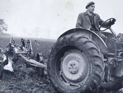 Hai năm sau, phát hiện của Williamson được gọi là kho báu Snettisham, và người thợ cày Tom Roth đã được thuê và tiếp tục phát hiện thêm một chiếc vòng cổ xoắn khổng lồ nặng 1 kg. Chiếc vòng cổ được đặt tên là Great Torc, nó được trưng bày vĩnh viễn tại Bảo tàng Anh ở London.