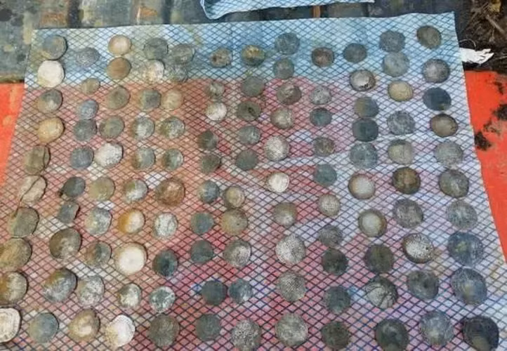 Kho báu này bao gồm 234 đồng xu được tìm thấy trên một cánh đồng ở Ansty, cách Dorchester khoảng 9 dặm về phía đông bắc nhờ máy dò kim loại. Có khả năng kho báu này đã được một người nông dân chôn cất vào năm 1644 trong thời kỳ Nội chiến Anh, nhưng chủ sở hữu có thể đã bị giết và chưa có cơ hội lấy lại số tiền.