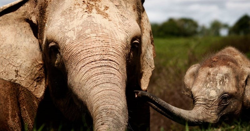 Phát hiện này mở ra khả năng cho những nghiên cứu khoa học thú vị trong tương lai.