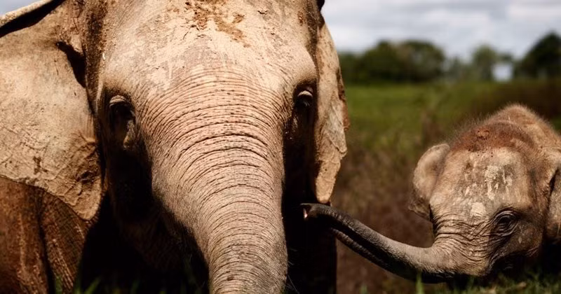 Phát hiện này mở ra khả năng cho những nghiên cứu khoa học thú vị trong tương lai.