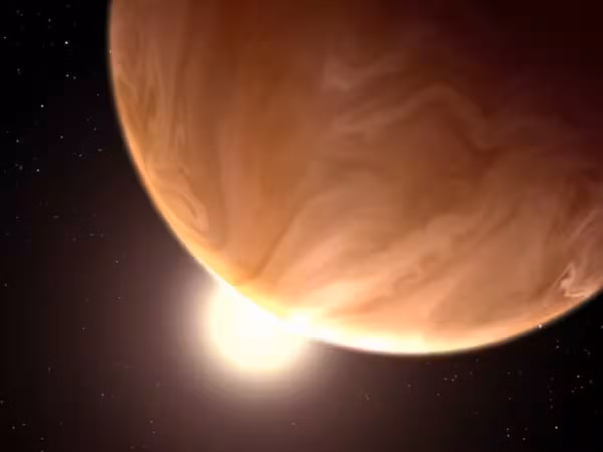 Các nhà nghiên cứu chỉ biết sự tồn tại và tính kỳ lạ của nó nhưng không thể giải thích sự phát triển của nó.