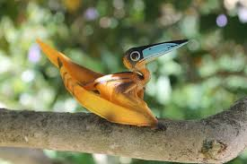 Dực long có đủ loại kích thước khác nhau khi trưởng thành, từ rất nhỏ (như Nemicolopterus) đến rất lớn (như Quetzalcoatlus và Hatzegopteryx).