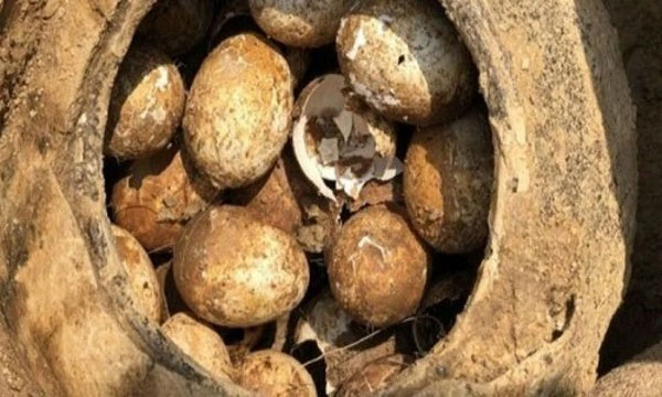 Thế nhưng, trứng gà trong các ngôi mộ cổ lại rất dễ vỡ và việc này gây ra tổn thất lớn cho các cổ vật.