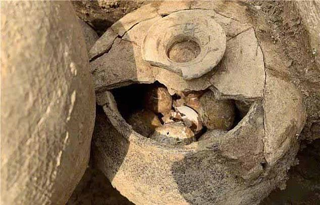 Mặc dù trứng gà gây sợ hãi, nhưng chúng cũng là manh mối quý giá, chỉ ra ngôi mộ có thể chứa nhiều báu vật không tầm thường.