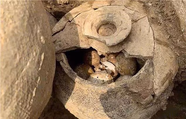 Mặc dù trứng gà gây sợ hãi, nhưng chúng cũng là manh mối quý giá, chỉ ra ngôi mộ có thể chứa nhiều báu vật không tầm thường.