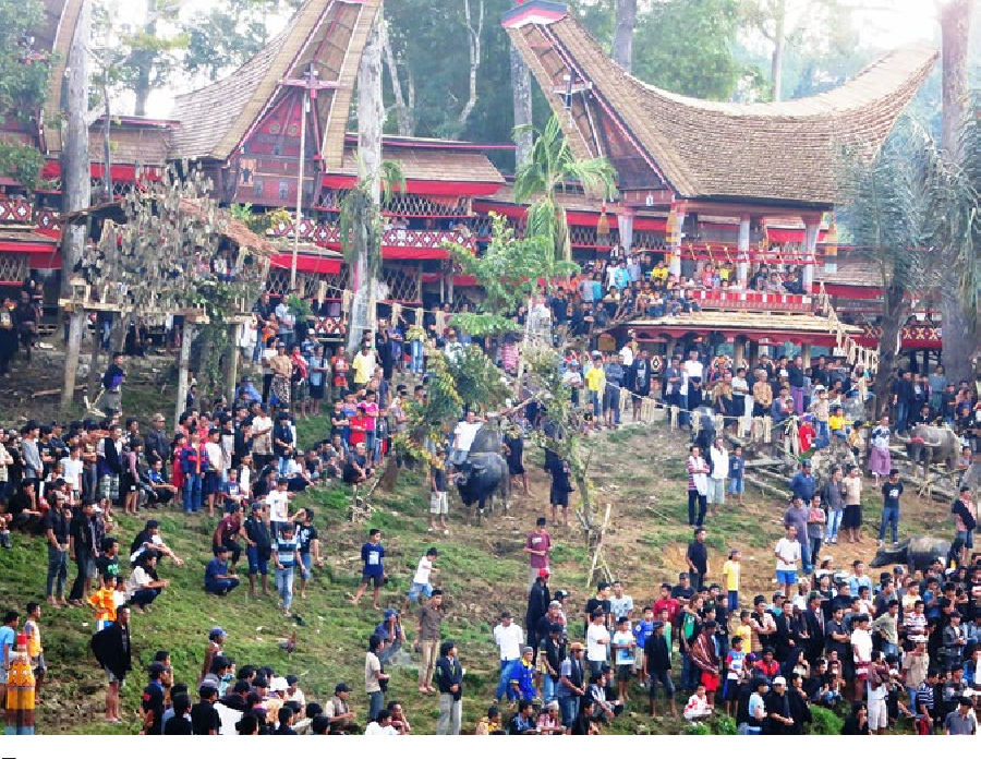 Diễn ra vào tháng 8, nghi lễ Ma'nene - chăm sóc tổ tiên - là dịp người chết được đưa ra khỏi mộ để vệ sinh, mặc quần áo mới và đưa về làng thăm nhà cũ. Gia đình và bạn bè tụ tập, tận hưởng bữa tiệc để đánh dấu sự kiện này.