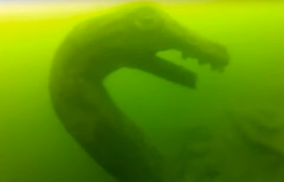  Ogopogo thường được mô tả là một con rắn khổng lồ dài từ 40 đến 50 feet, và có giả thuyết cho rằng nó có thể là một dạng cá voi thời nguyên thủy hoặc quái vật sông.