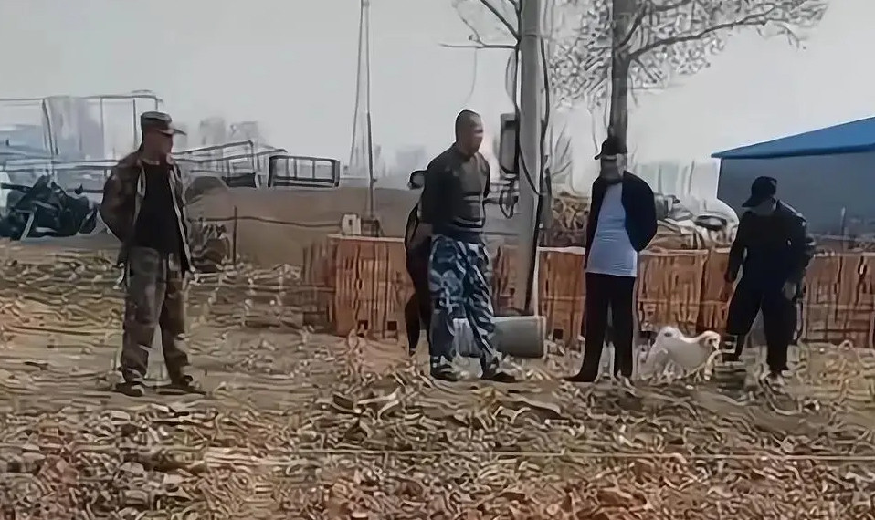 Nghe tin em ut ly hon, 3 anh trai xay nha moi chao don